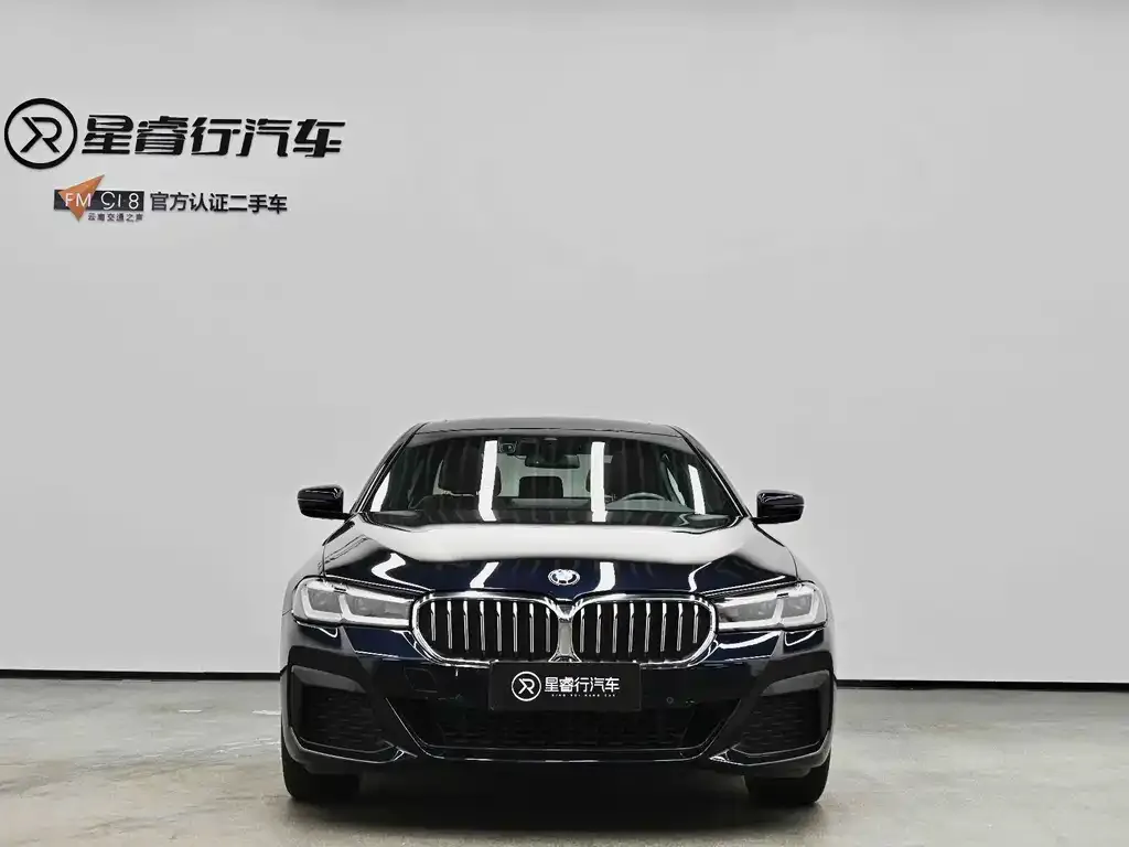 BMW 5 Series 2022 из CN, фото 2