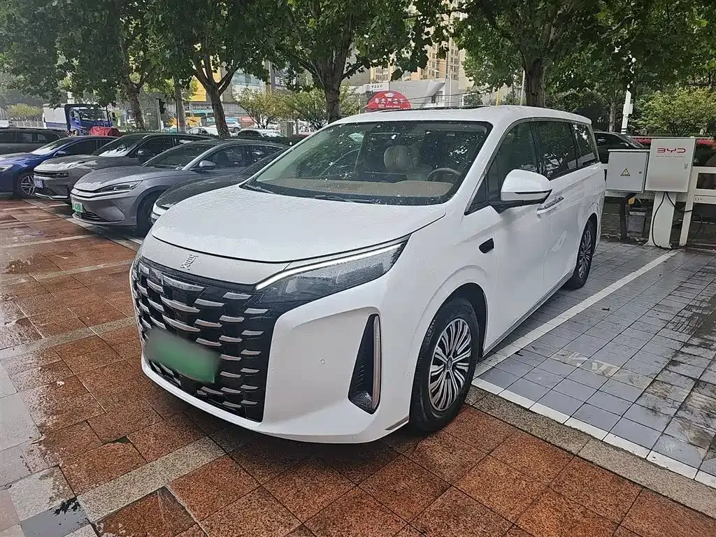 BYD Xia 2025 из CN, фото 1