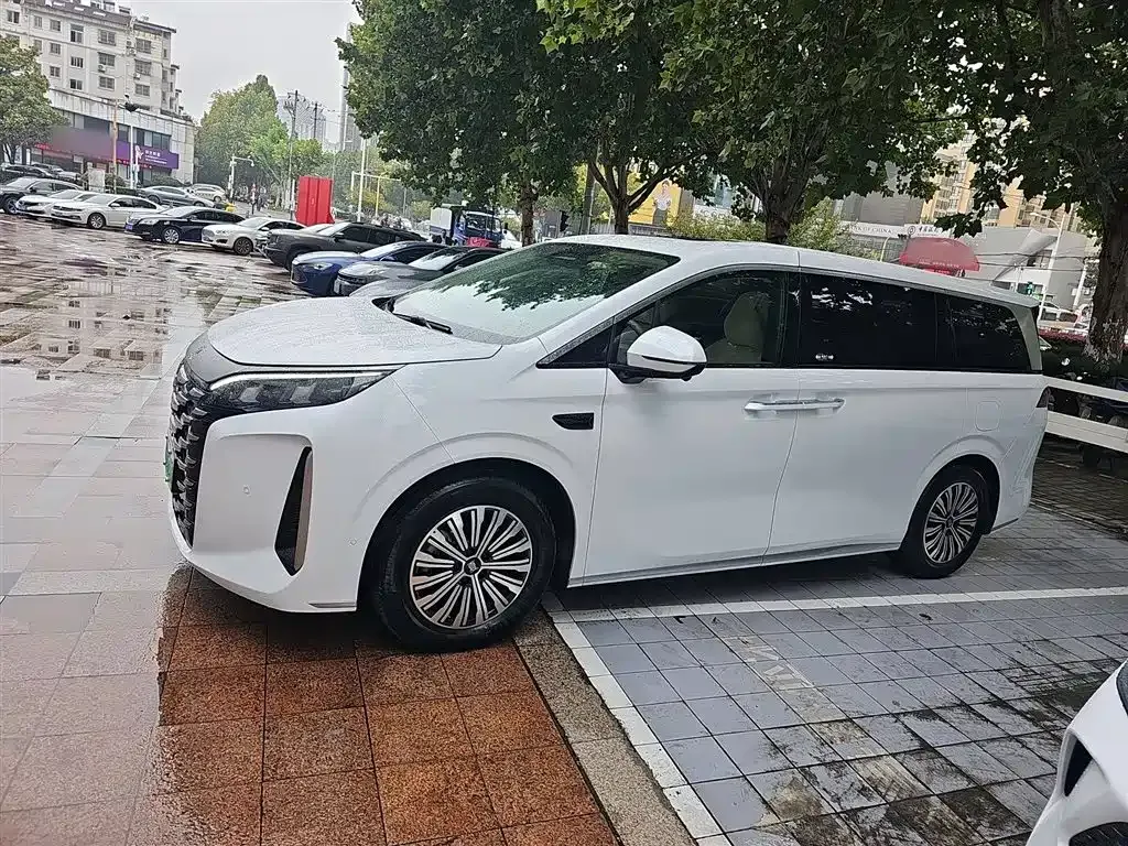 BYD Xia 2025 из CN, фото 5