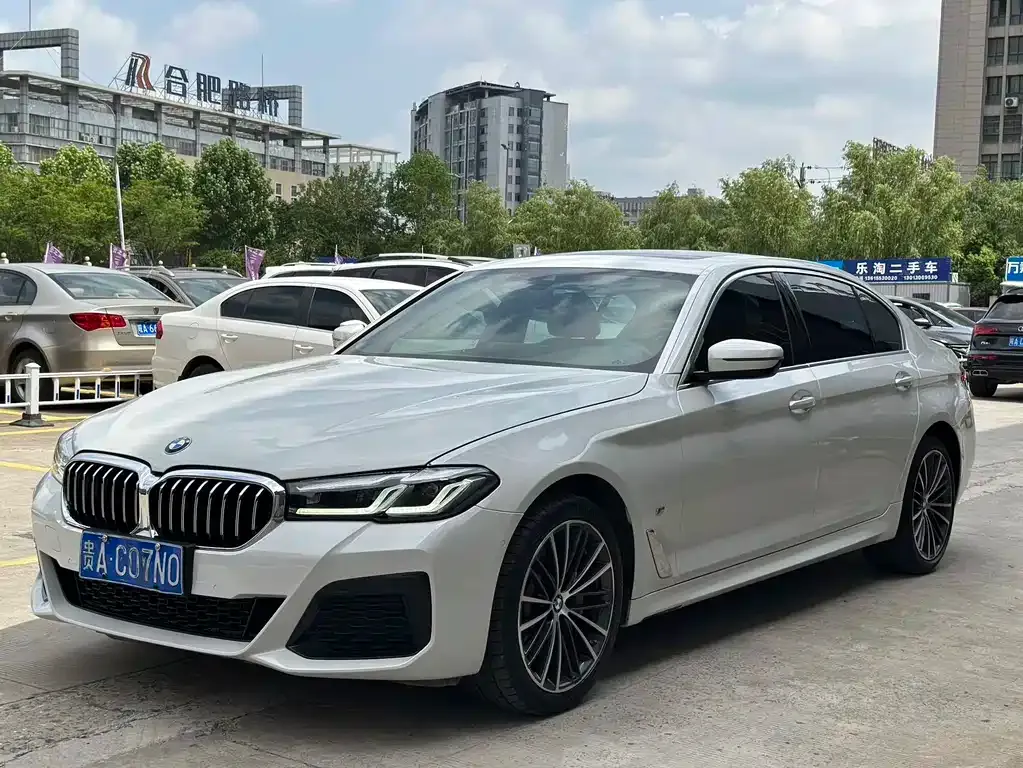 BMW 5 Series 2021 из CN, фото 1
