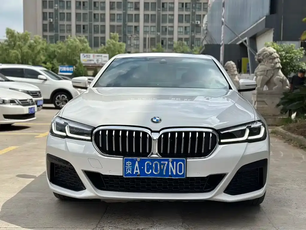 BMW 5 Series 2021 из CN, фото 2
