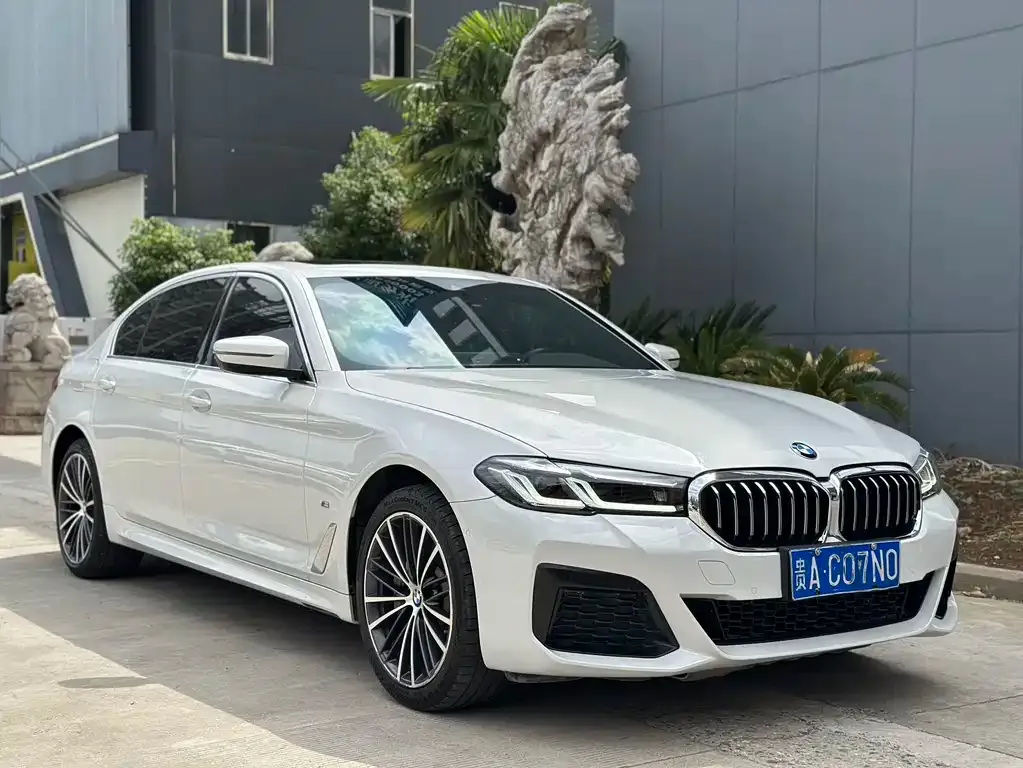 BMW 5 Series 2021 из CN, фото 3