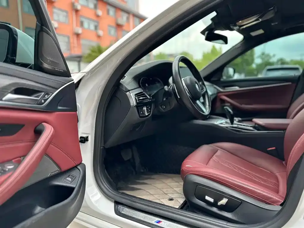 BMW 5 Series 2021 из CN, фото 7