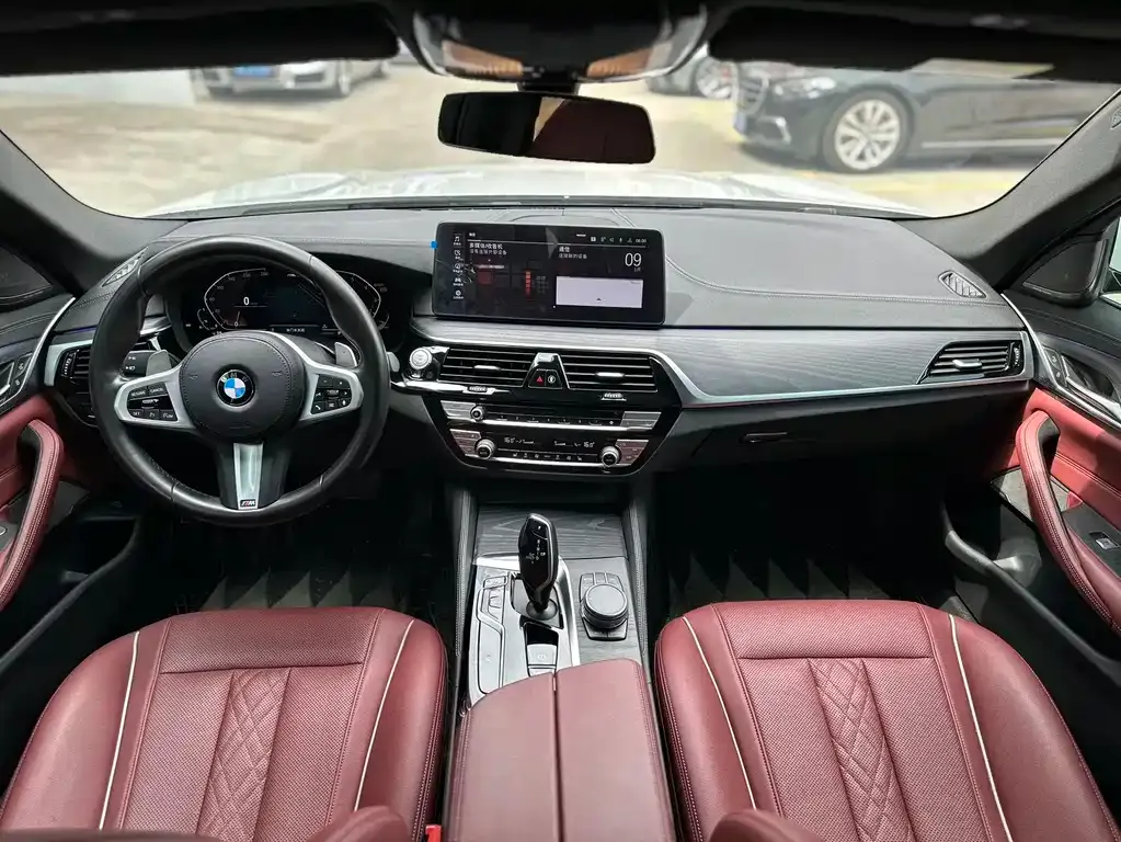 BMW 5 Series 2021 из CN, фото 8