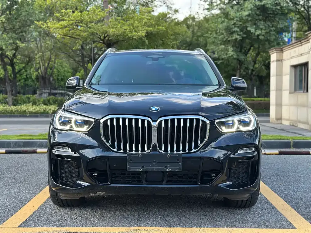 BMW X5 (Import) 2021 из CN, фото 2