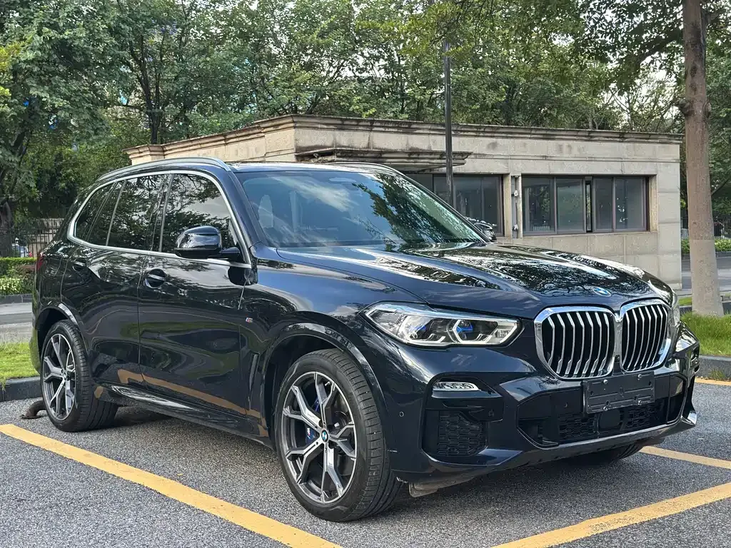 BMW X5 (Import) 2021 из CN, фото 3
