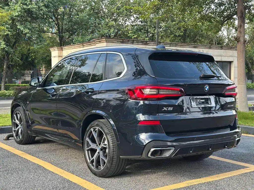BMW X5 (Import) 2021 из CN, фото 4