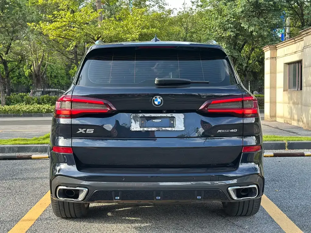 BMW X5 (Import) 2021 из CN, фото 5
