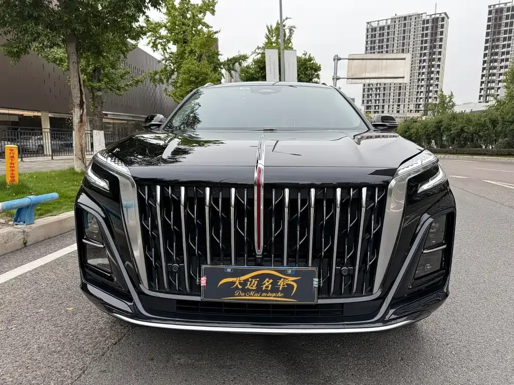 Hongqi HS3 2025 из CN, фото 2
