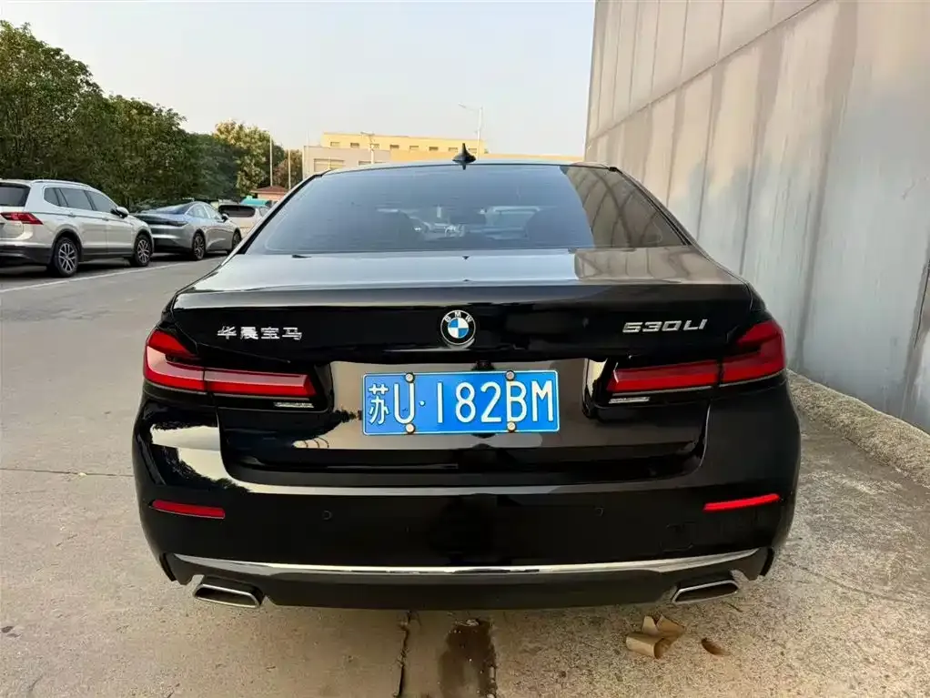 BMW 5 Series 2022 из CN, фото 4