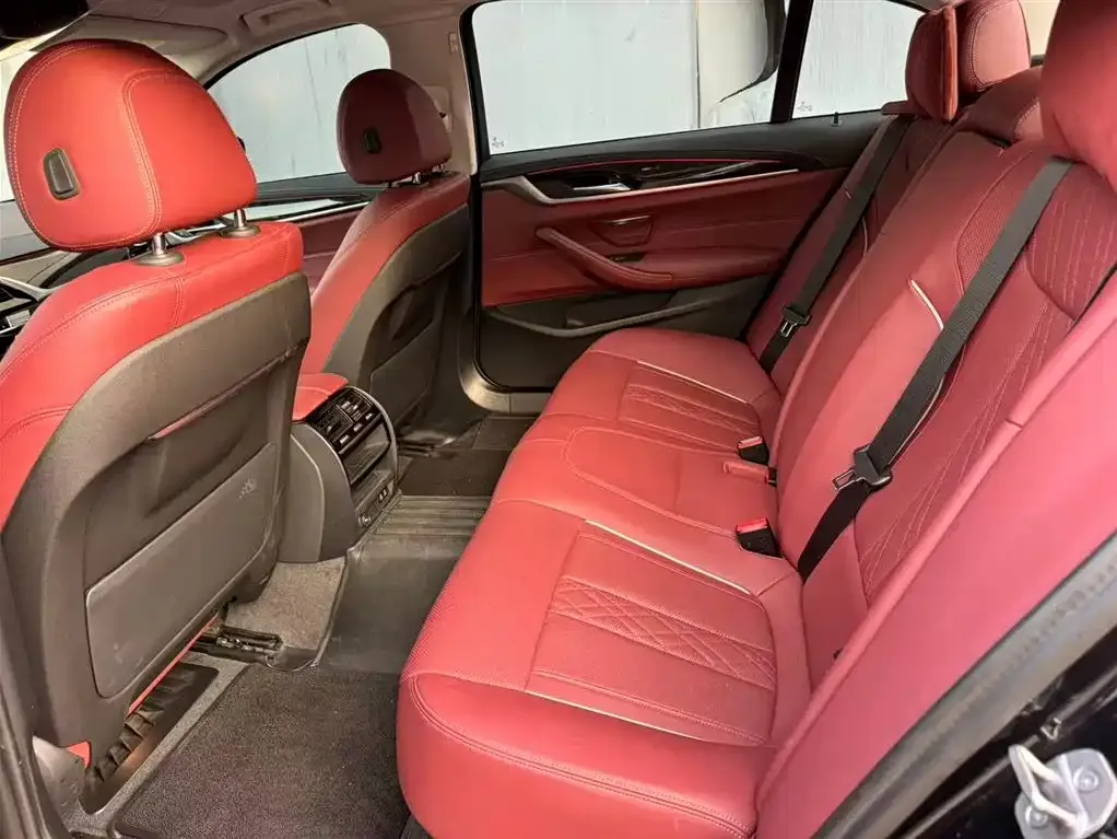 BMW 5 Series 2022 из CN, фото 7