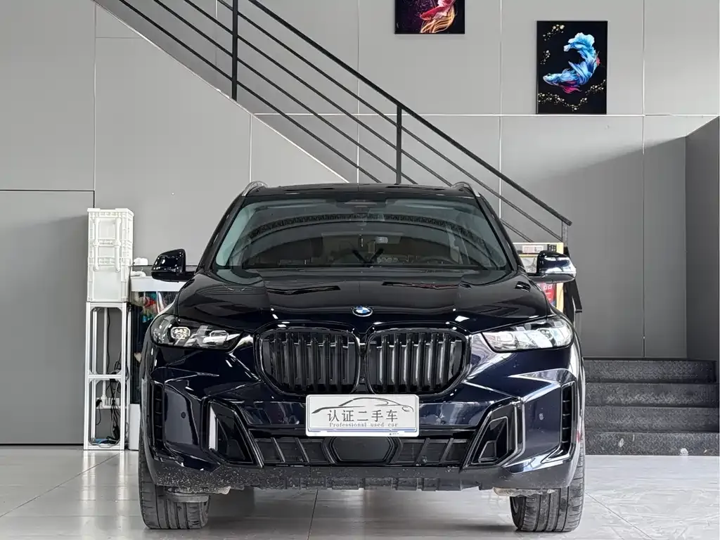 BMW X5 2024 из CN, фото 2