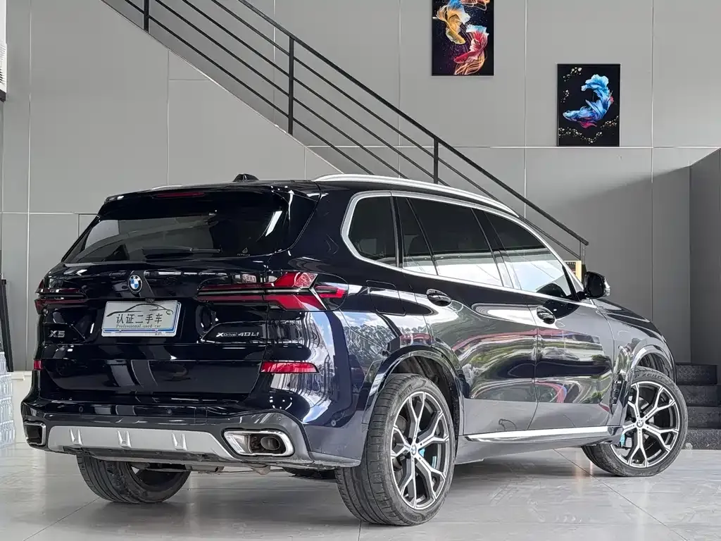 BMW X5 2024 из CN, фото 3