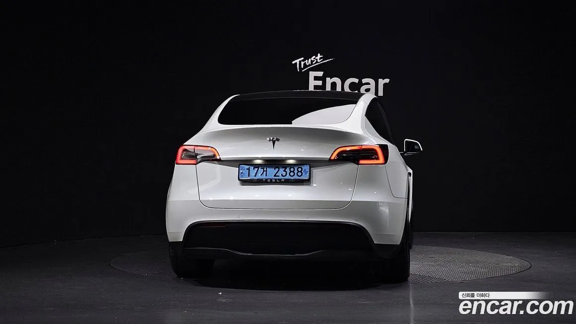 Tesla Model Y 2021 из KR, фото 4