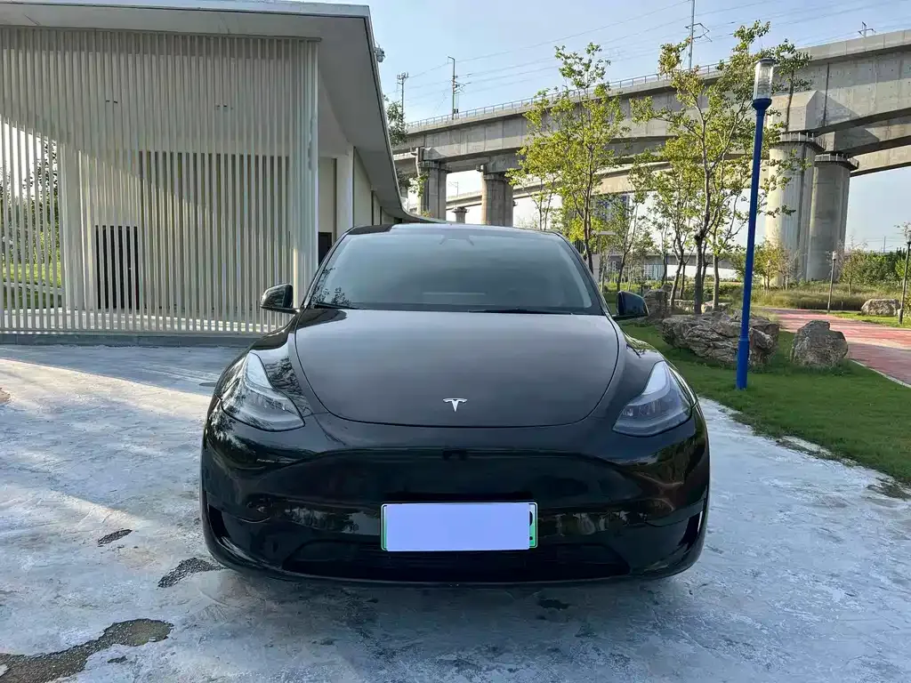 Tesla Model Y — фото 2