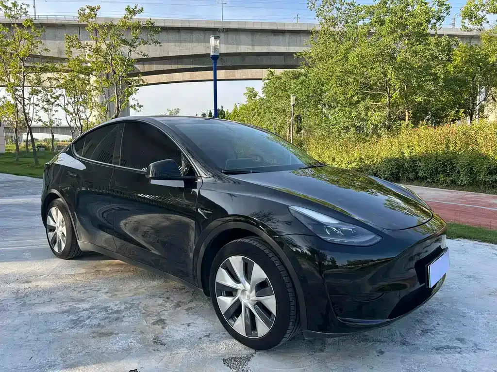 Tesla Model Y — фото 3