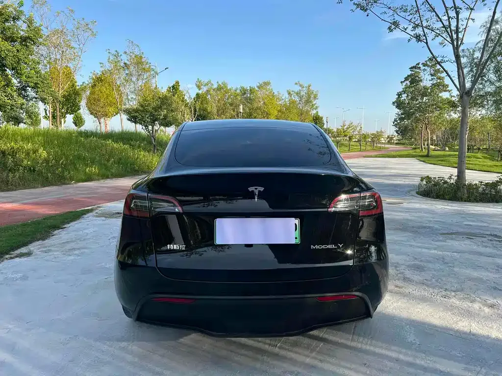 Tesla Model Y — фото 5