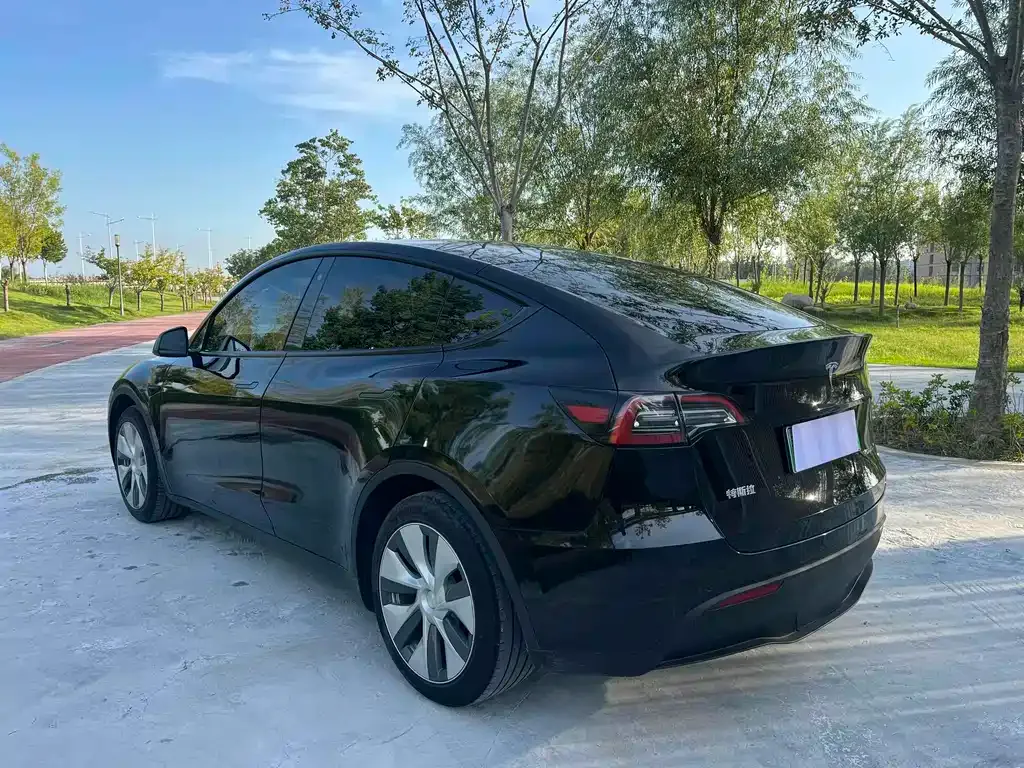 Tesla Model Y — фото 6