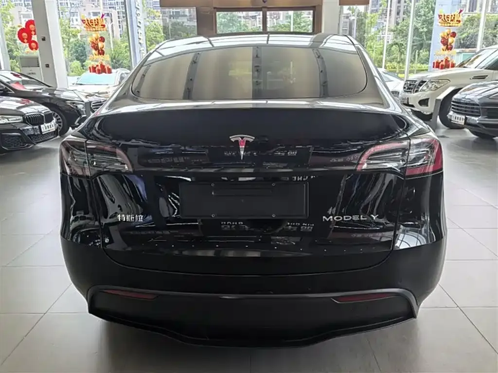 Tesla Model Y 2021 из CN, фото 10