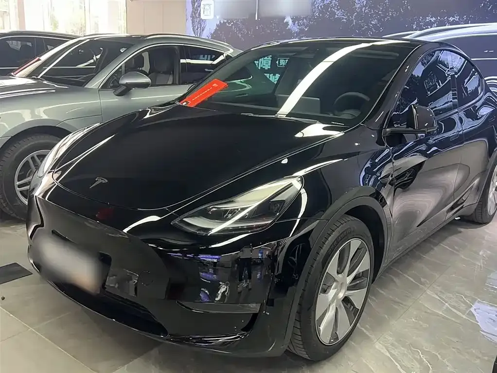 Tesla Model Y 2021 из CN, фото 2
