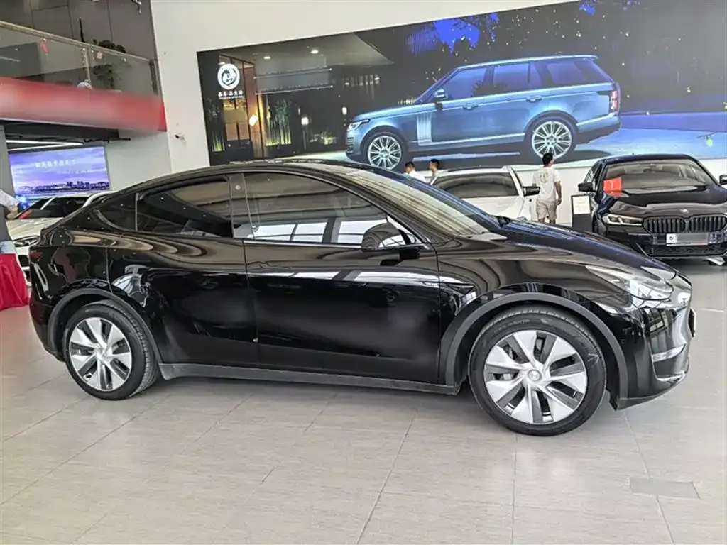 Tesla Model Y 2021 из CN, фото 5