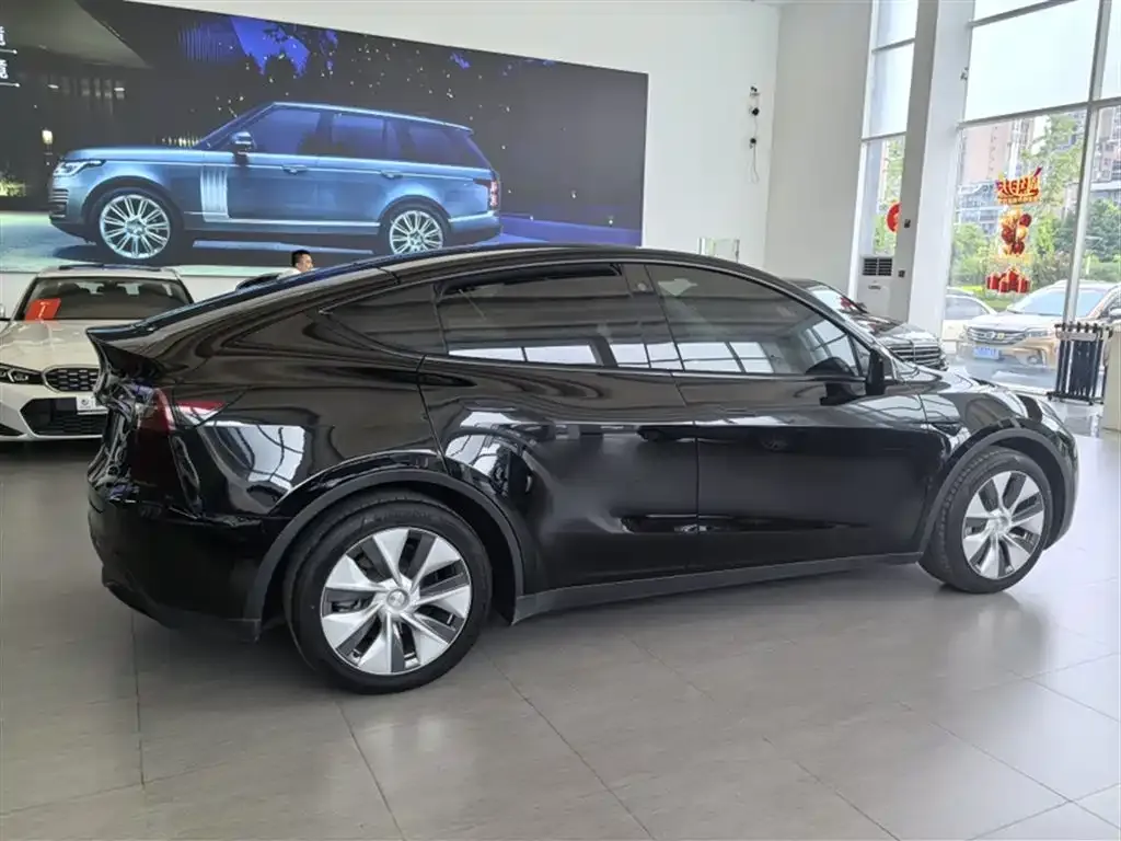 Tesla Model Y 2021 из CN, фото 7