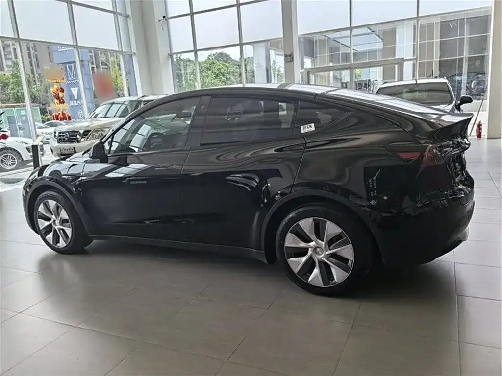 Tesla Model Y 2021 из CN, фото 8