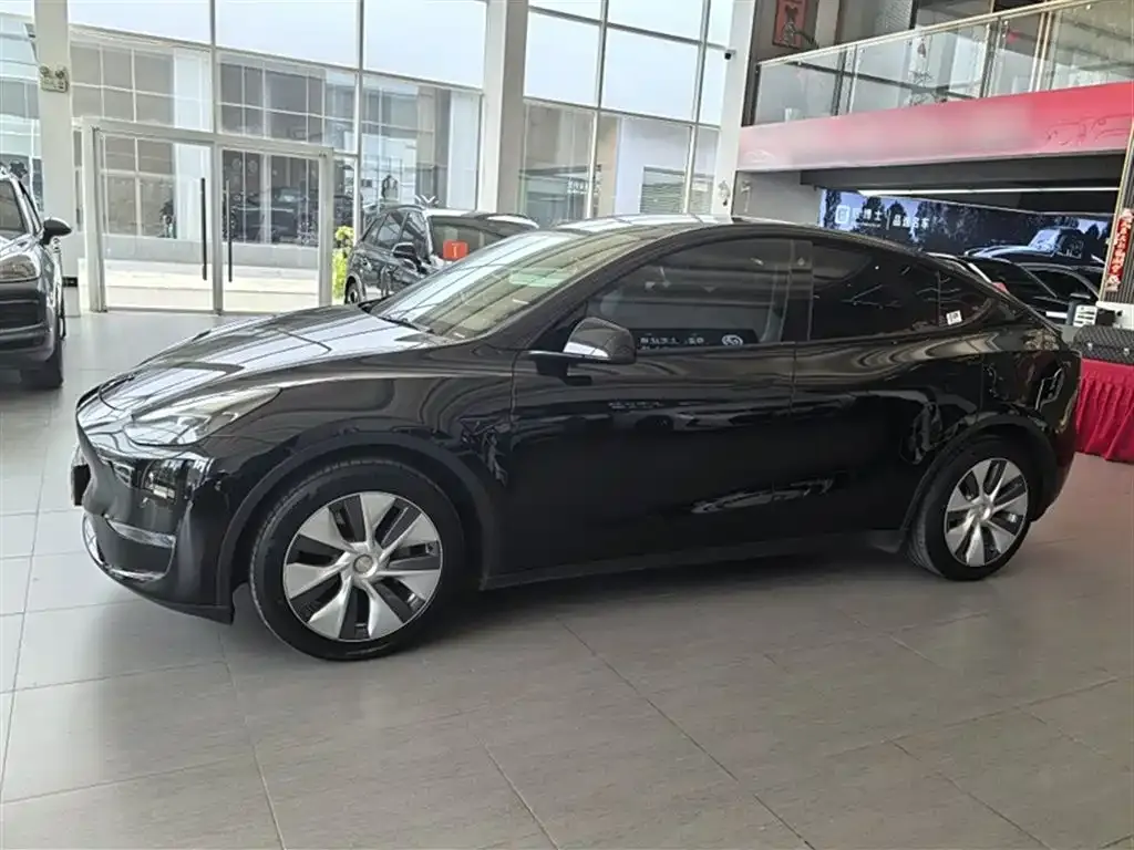 Tesla Model Y 2021 из CN, фото 9