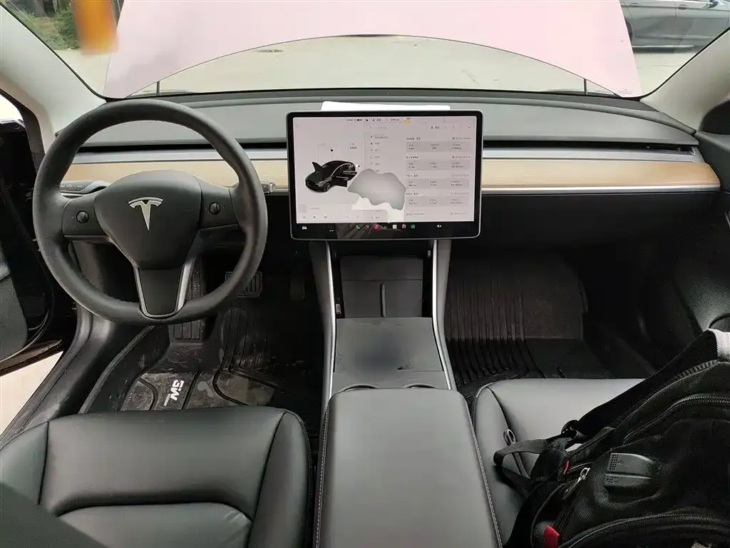 Tesla Model 3 2021 из CN, фото 10