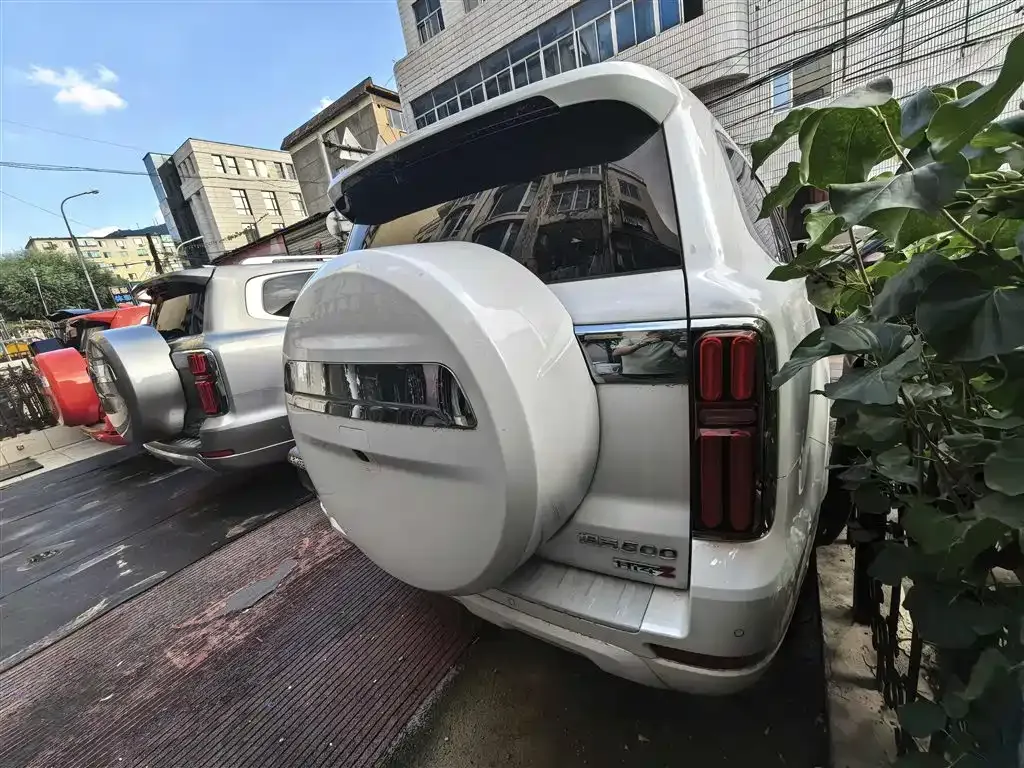 Tank 500 New Energy 2025 из CN, фото 6