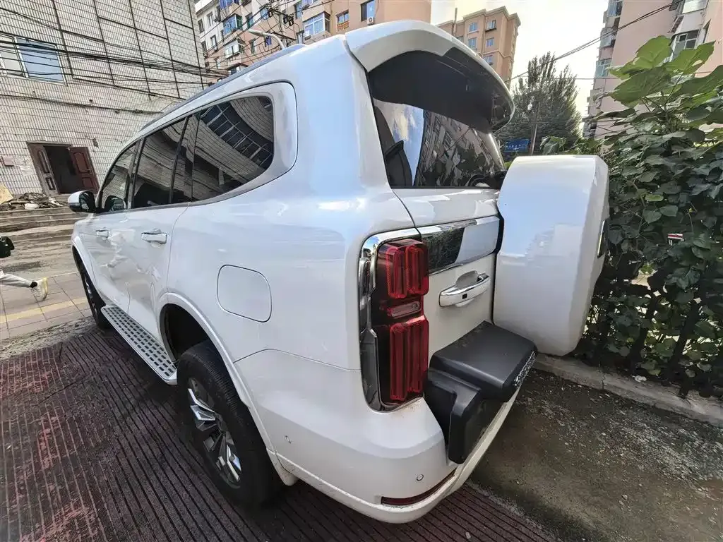 Tank 500 New Energy 2025 из CN, фото 7