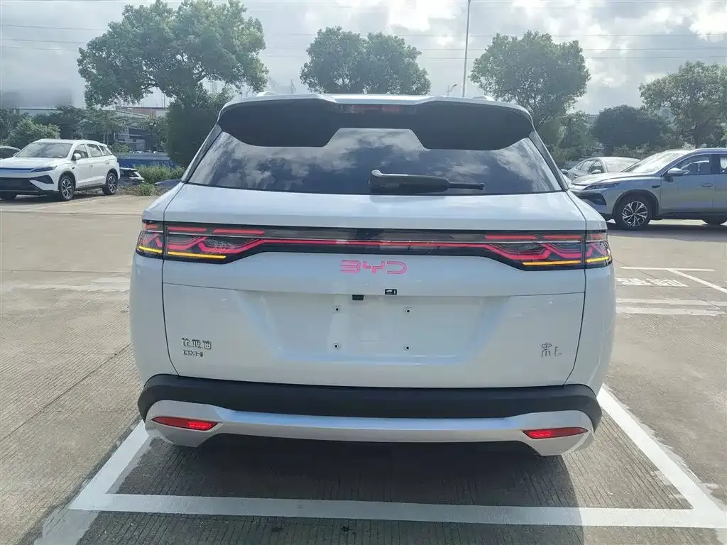 BYD L DM-i 2024 из CN, фото 6