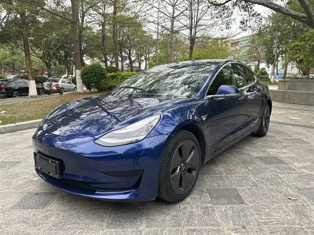 Tesla Model 3 2021 из CN, фото 2