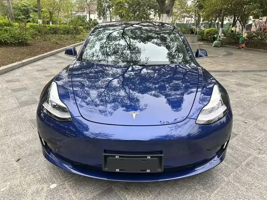 Tesla Model 3 2021 из CN, фото 3