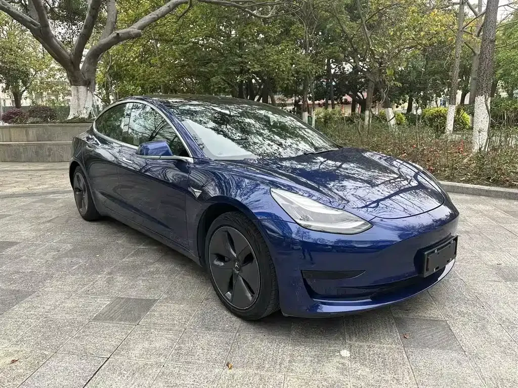 Tesla Model 3 2021 из CN, фото 4