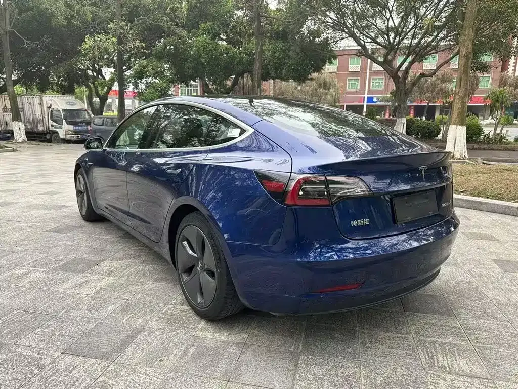 Tesla Model 3 2021 из CN, фото 5