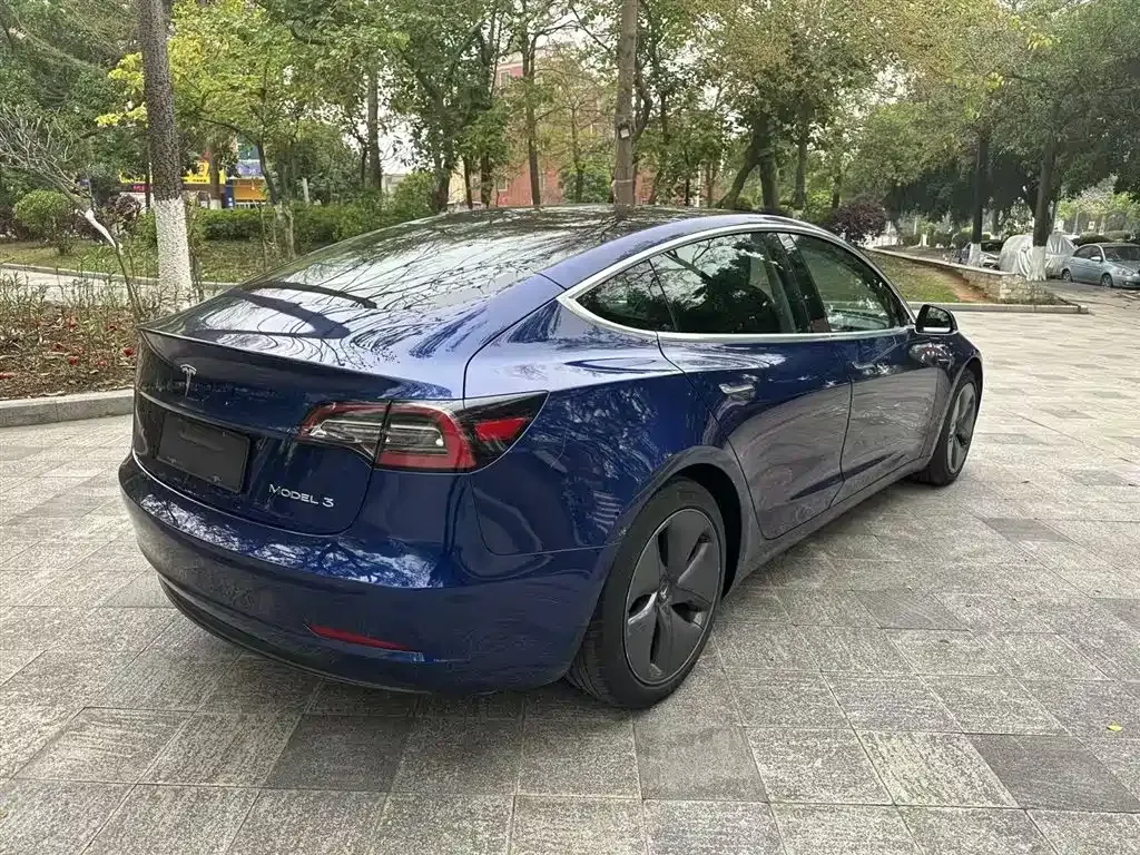 Tesla Model 3 2021 из CN, фото 7