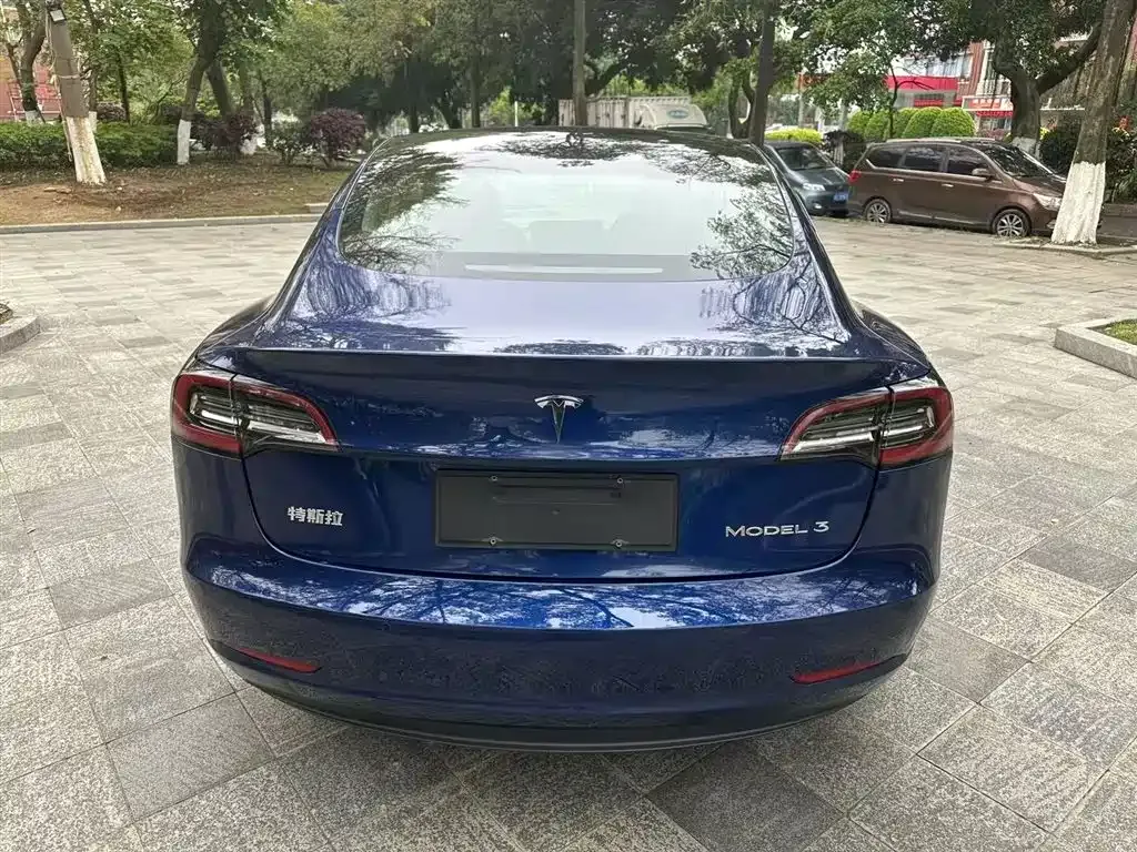 Tesla Model 3 2021 из CN, фото 9