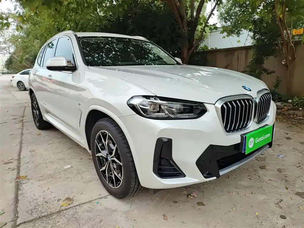 BMW X3 2023 из CN, фото 4