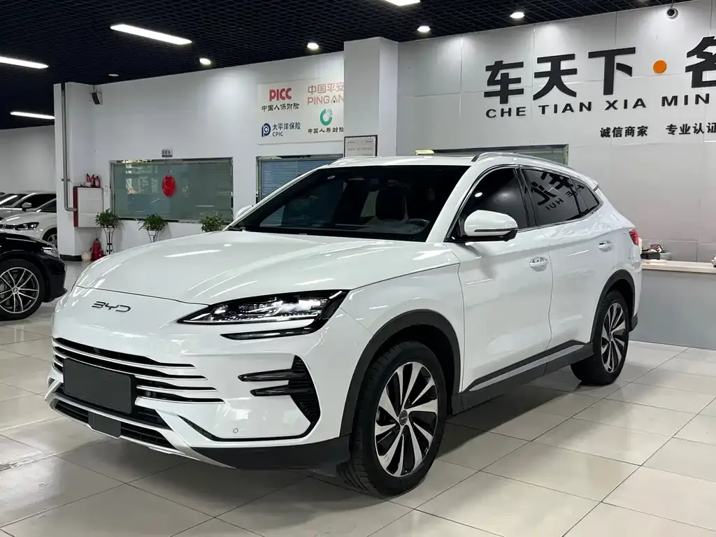 BYD PLUS New Energy 2024 из CN, фото 1