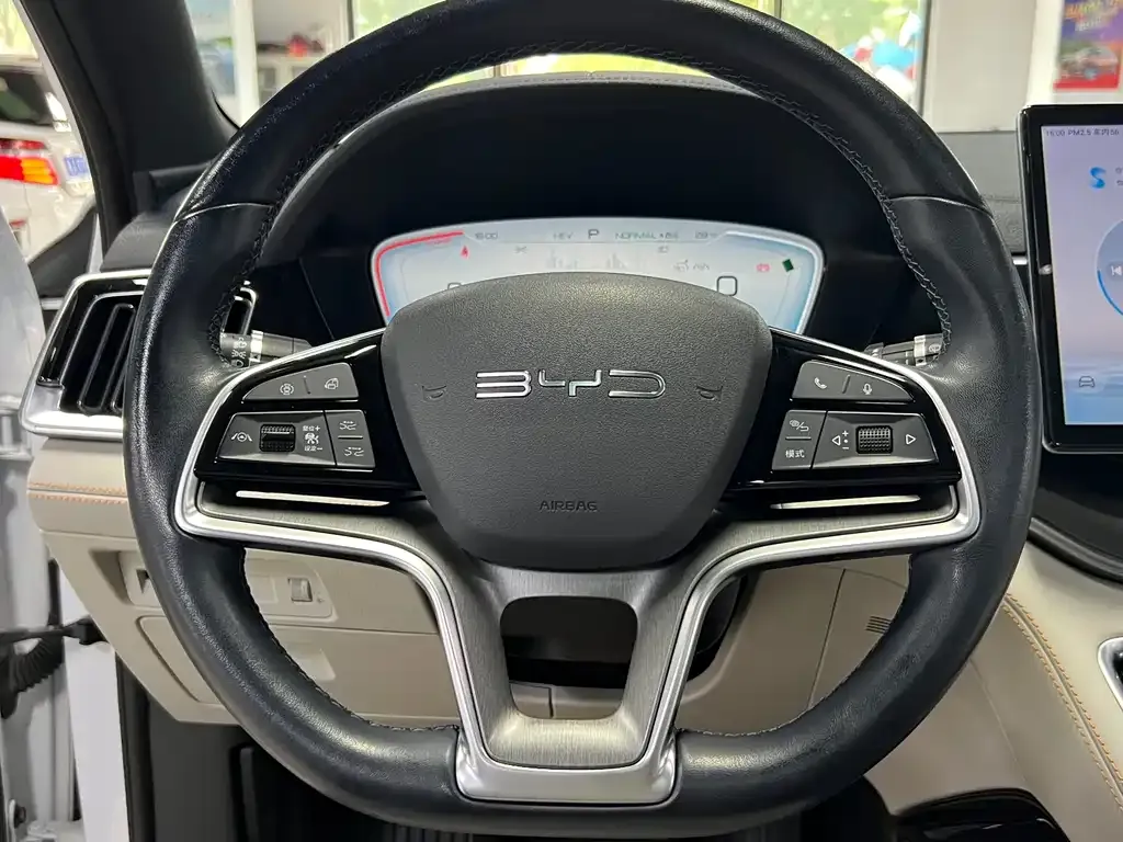 BYD PLUS New Energy 2024 из CN, фото 10