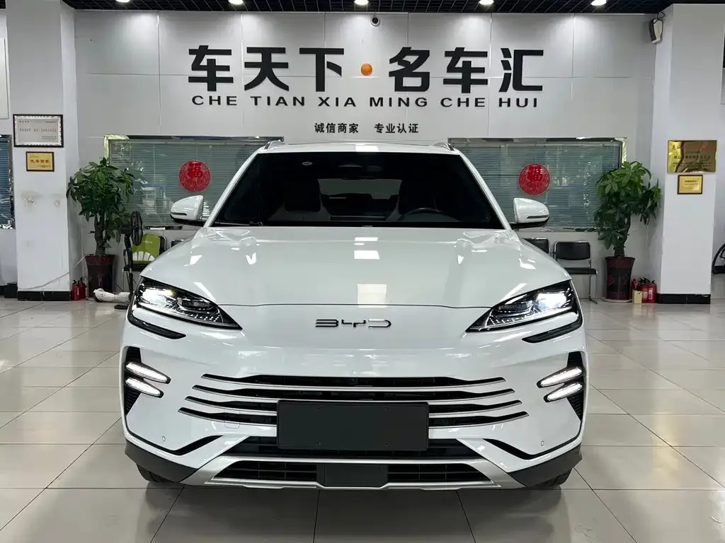 BYD PLUS New Energy 2024 из CN, фото 2