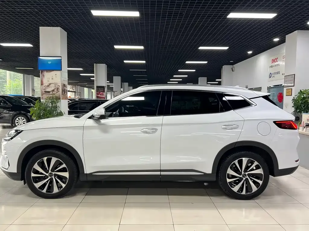 BYD PLUS New Energy 2024 из CN, фото 3