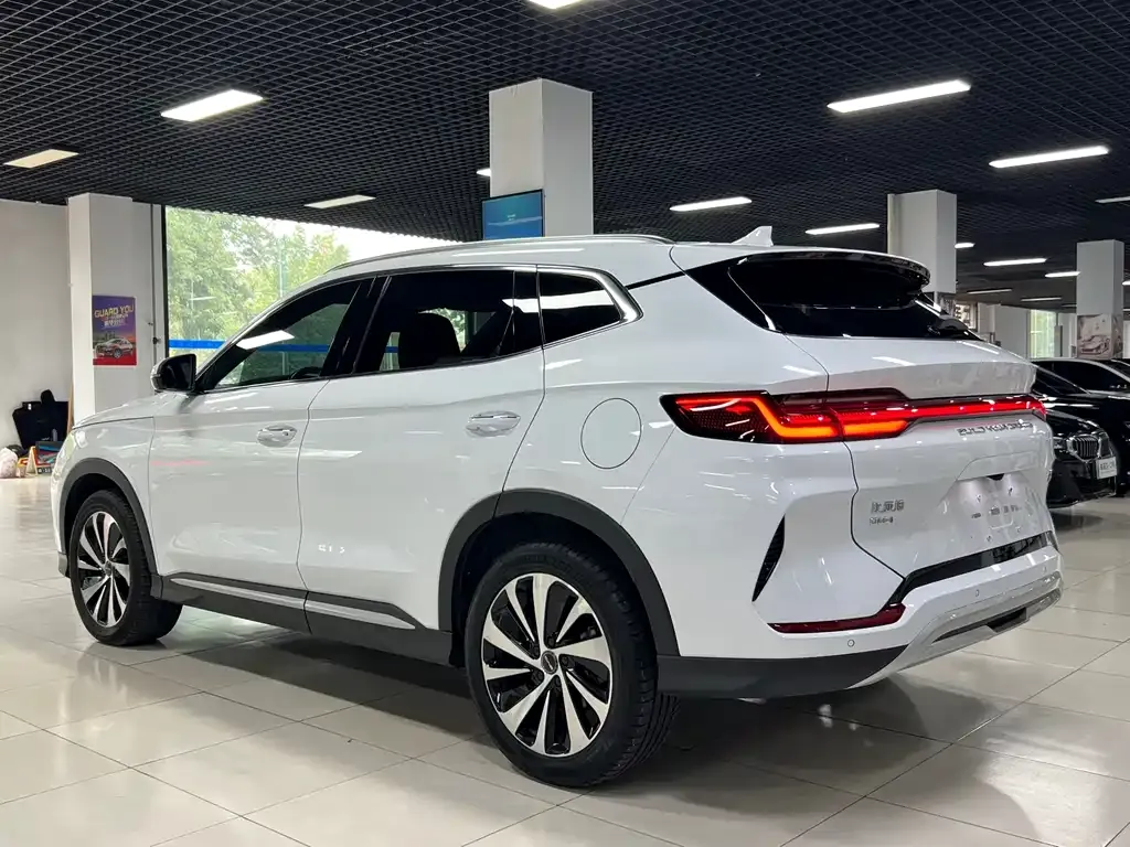 BYD PLUS New Energy 2024 из CN, фото 4