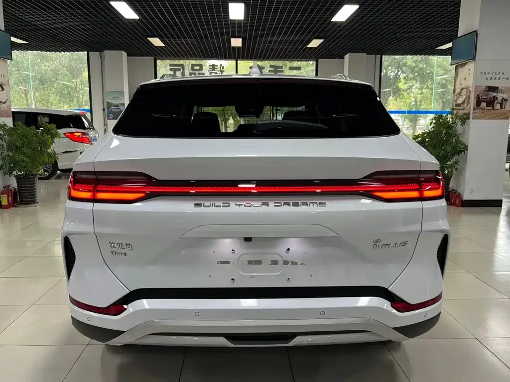 BYD PLUS New Energy 2024 из CN, фото 5