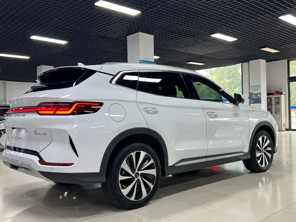 BYD PLUS New Energy 2024 из CN, фото 6