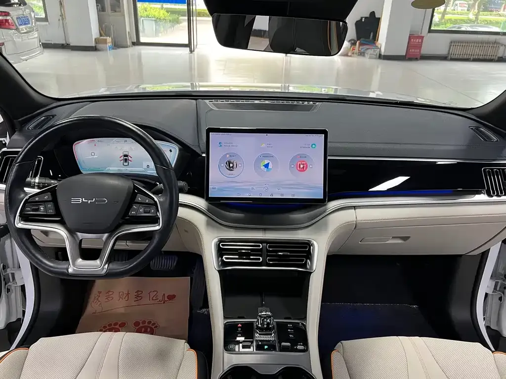 BYD PLUS New Energy 2024 из CN, фото 7