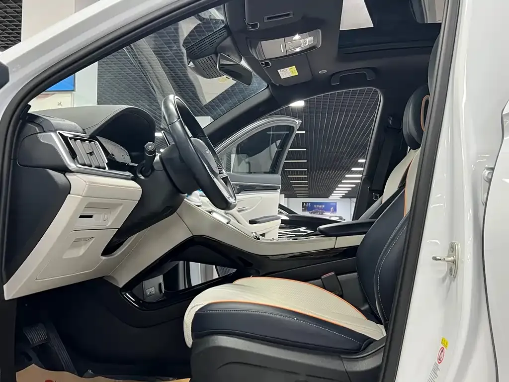 BYD PLUS New Energy 2024 из CN, фото 8