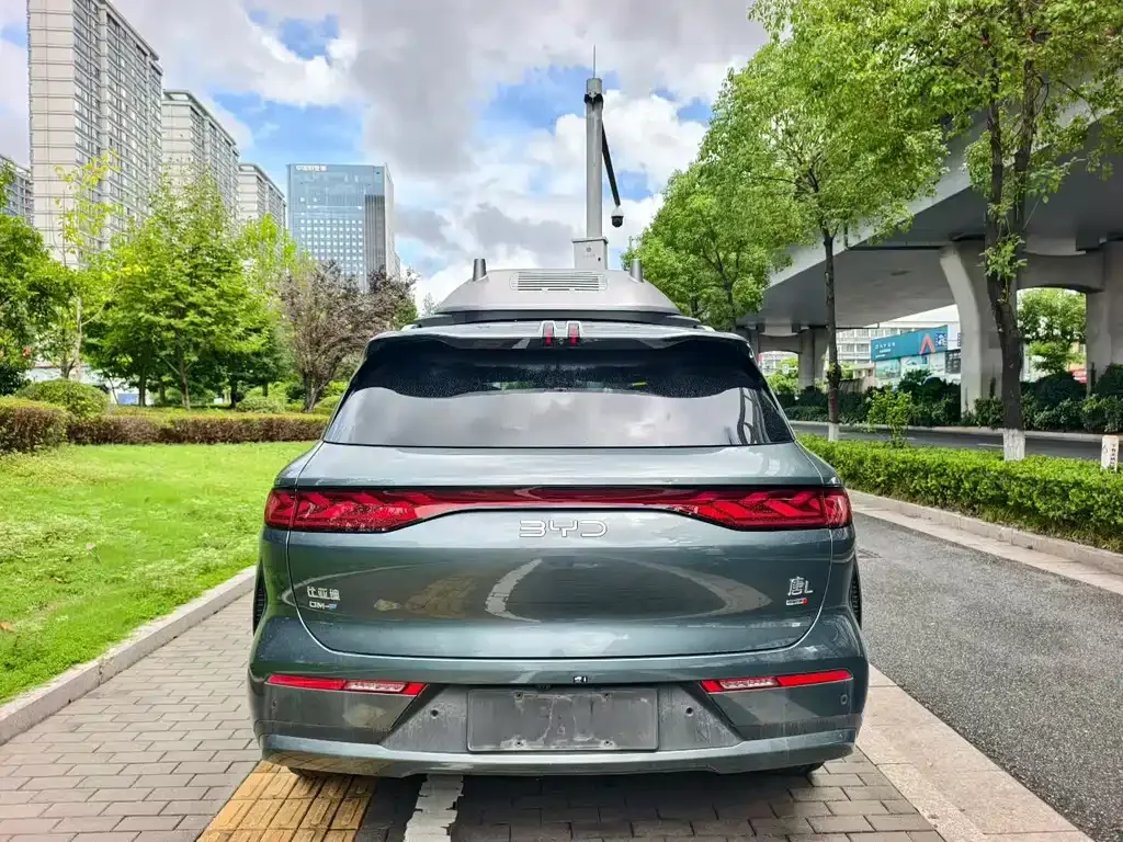 BYD Tang L 2025 из CN, фото 5