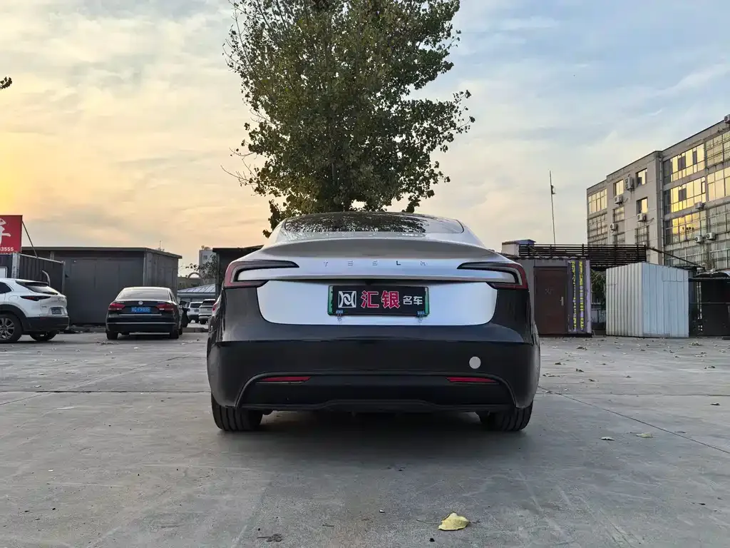 Tesla Model 3 2025 из CN, фото 5